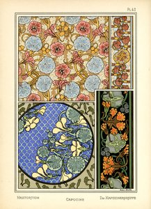 Nasturtium